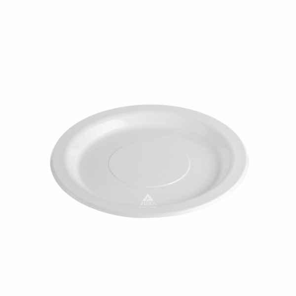 10" (260mm) Festive Reusable Plates
