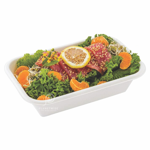Bagasse Containers
